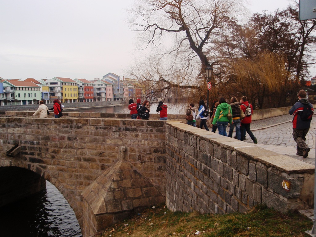 P3170942.JPG