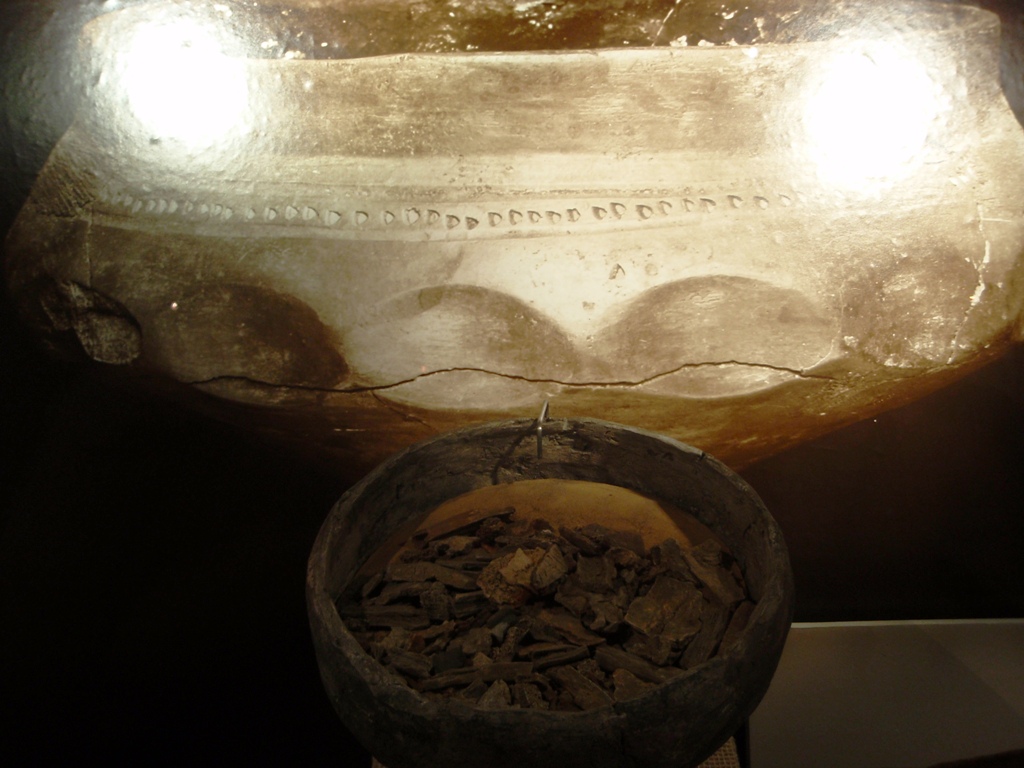 P3170963.JPG