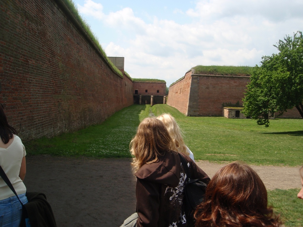 P5190439.JPG